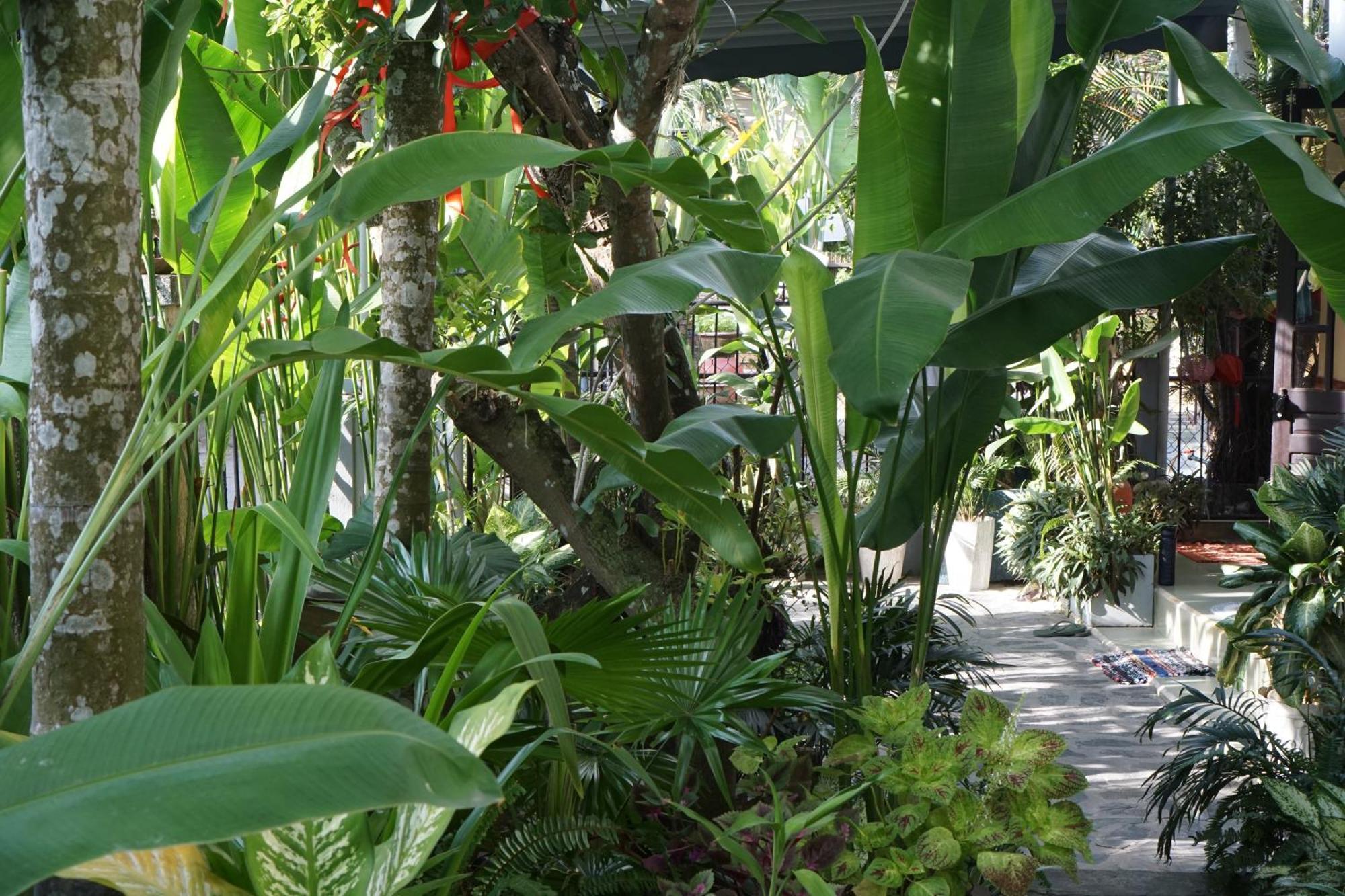 Ferienwohnung Hoi An Sunny Garden Exterior foto