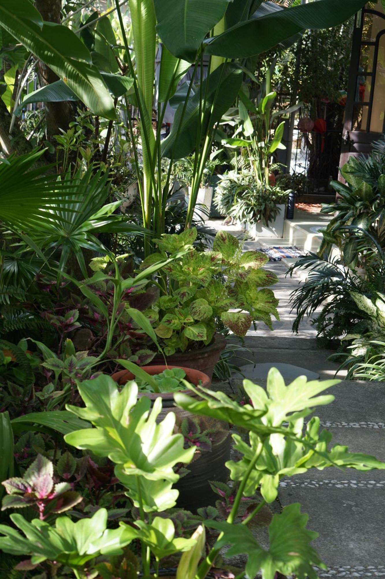 Ferienwohnung Hoi An Sunny Garden Exterior foto