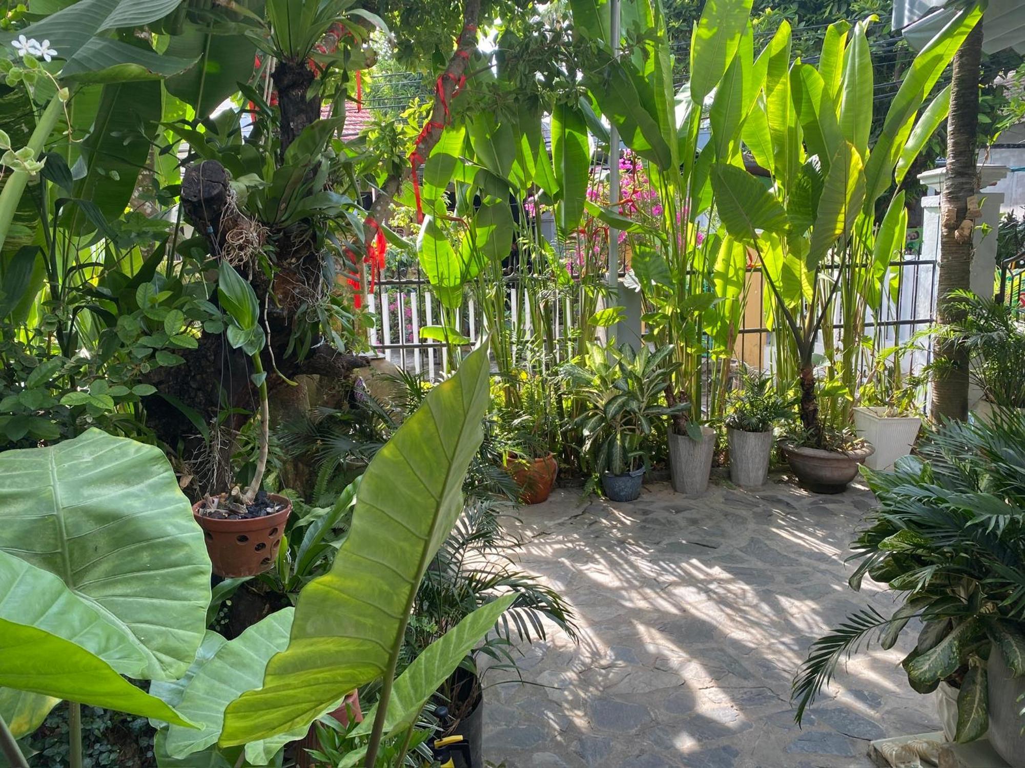 Ferienwohnung Hoi An Sunny Garden Exterior foto