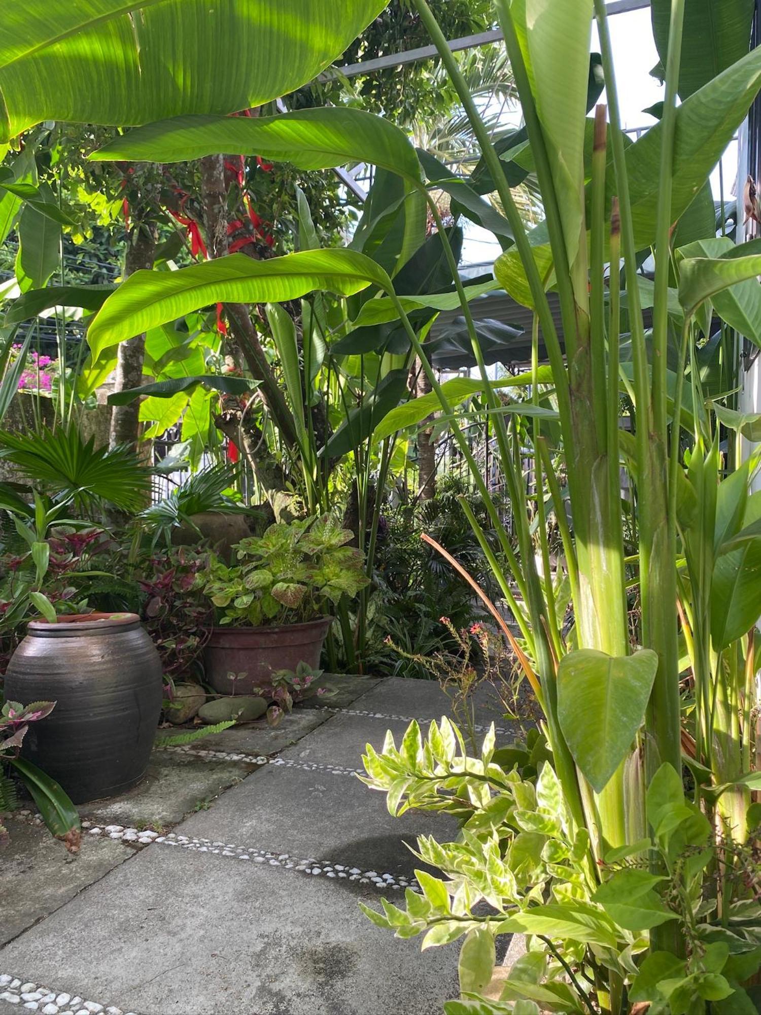 Ferienwohnung Hoi An Sunny Garden Exterior foto